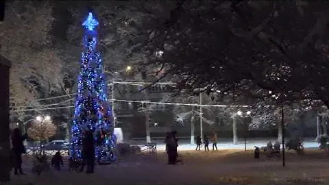 Белореченская ёлка в центральном парке 2016.