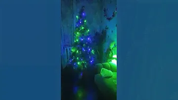 Ёлочка сверкает 🌲