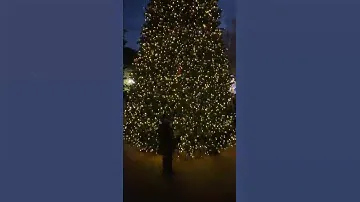 Севастополь площадь Нахимова