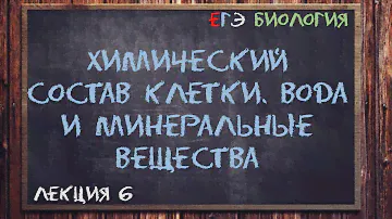 Л.6 | Химический состав клетки | Вода и минеральные вещества | ОБЩАЯ БИОЛОГИЯ ЕГЭ
